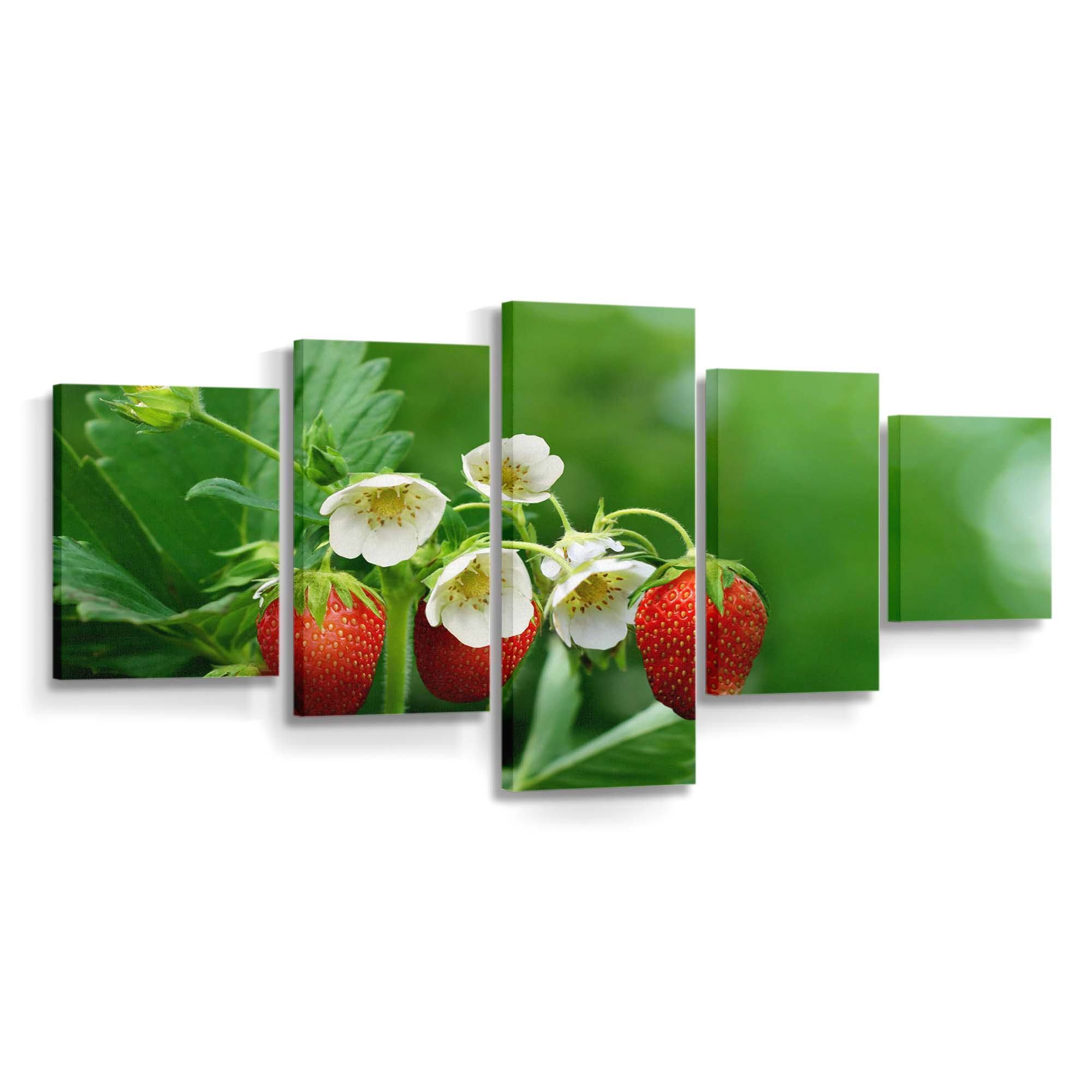 strawberry plant with flowers and fruits wallpaper